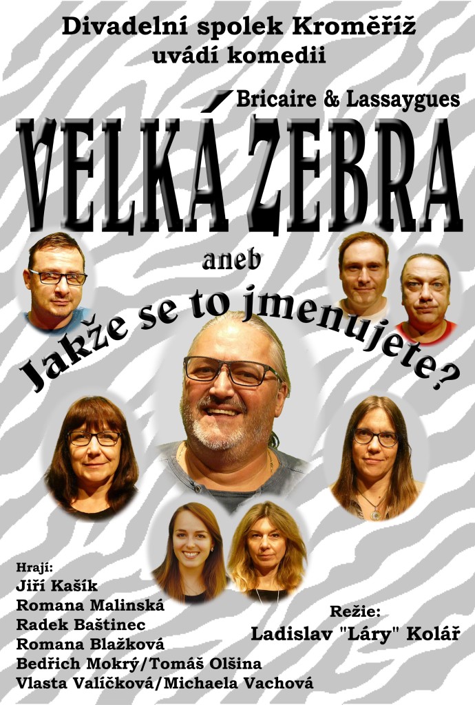 Plakat Velka zebra 3